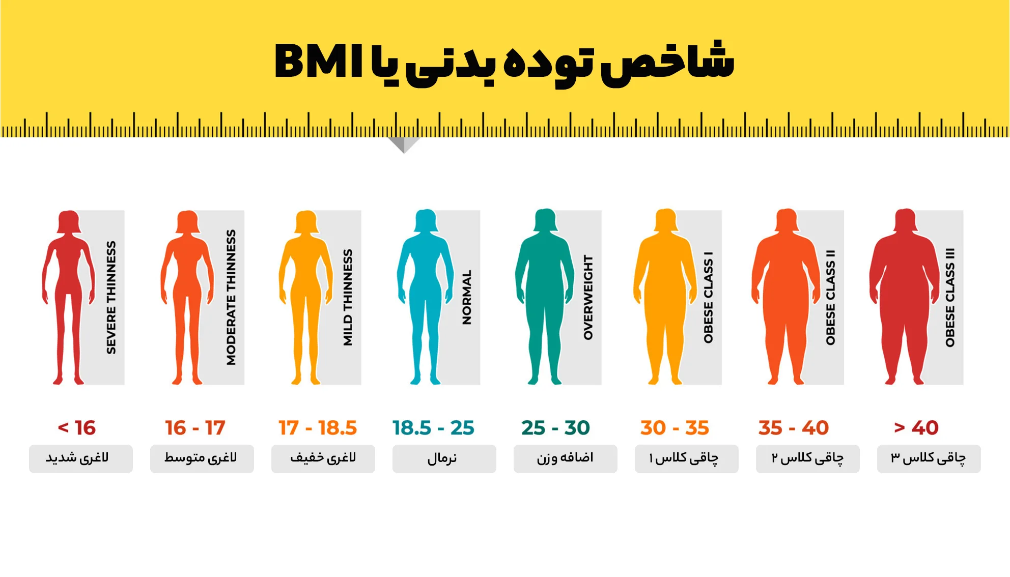 BMI