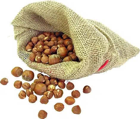 فندق