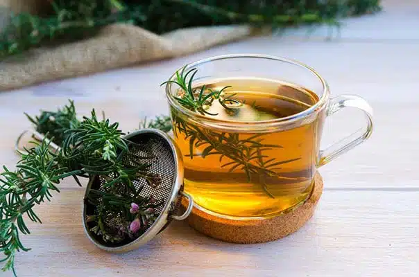 چای رزماری