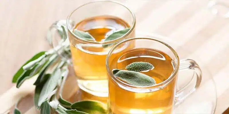 چای مریم گلی